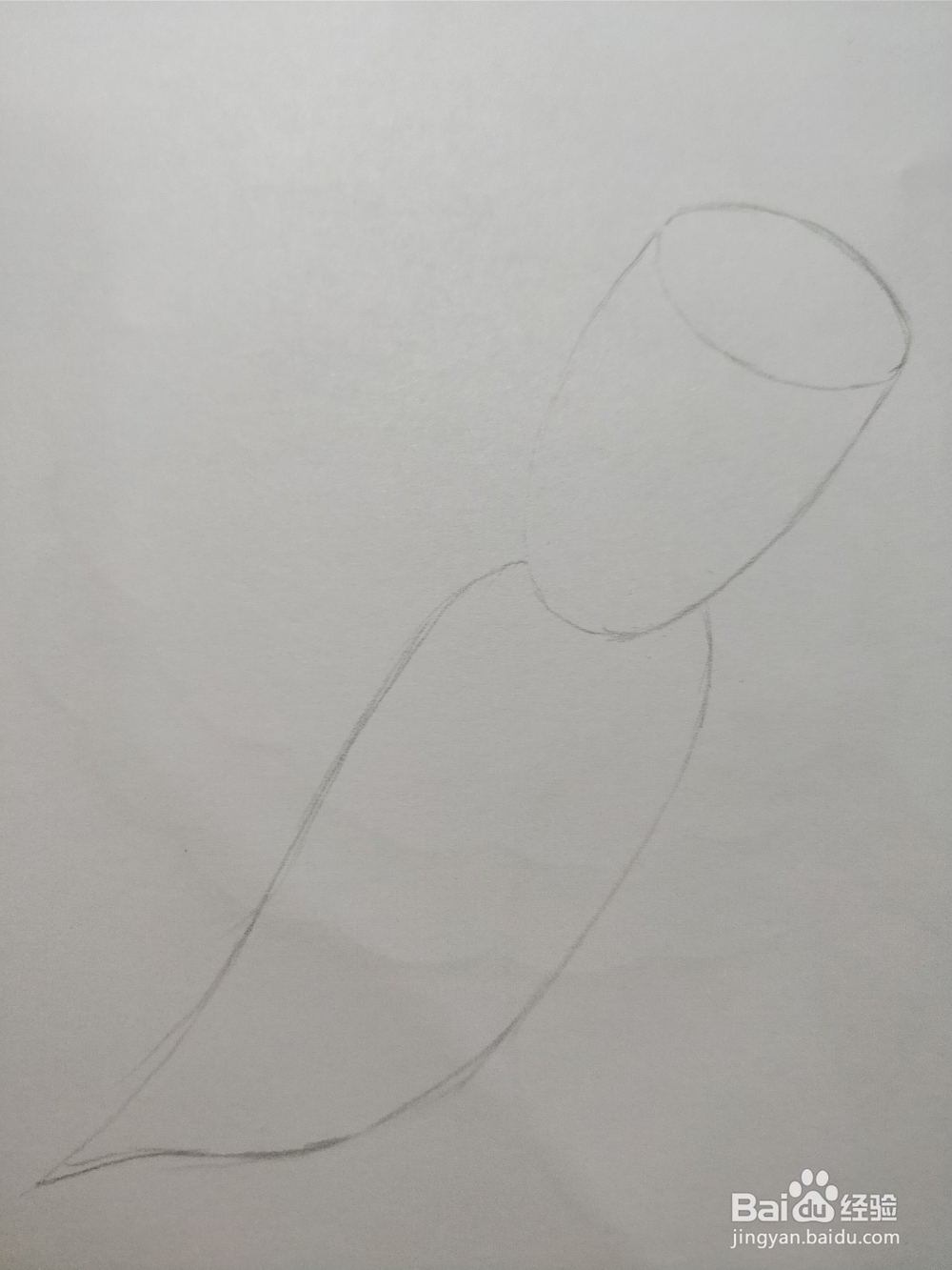 简笔画画莲藕