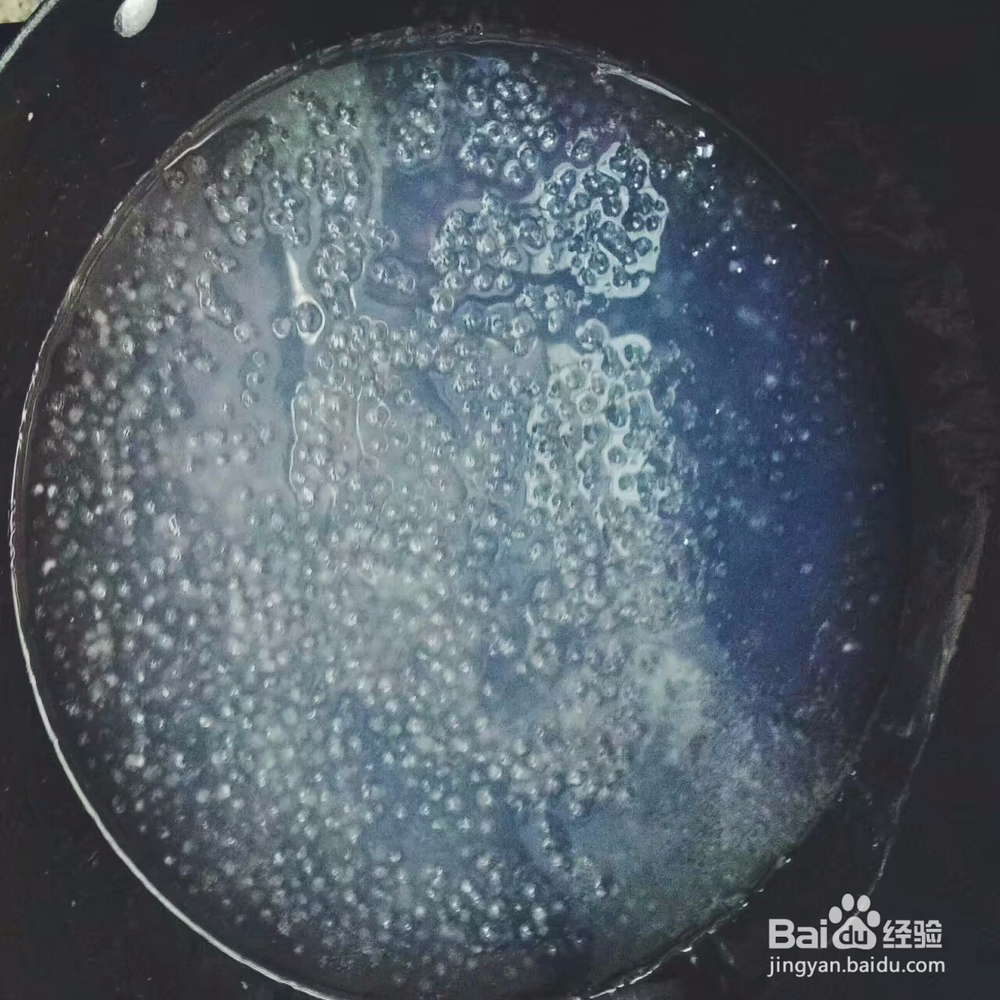 如何亲自动手做牛奶水果西米露