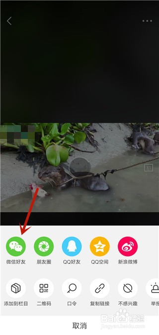 看点视频怎么分享