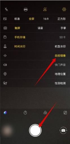 vivo镜像翻转怎么弄