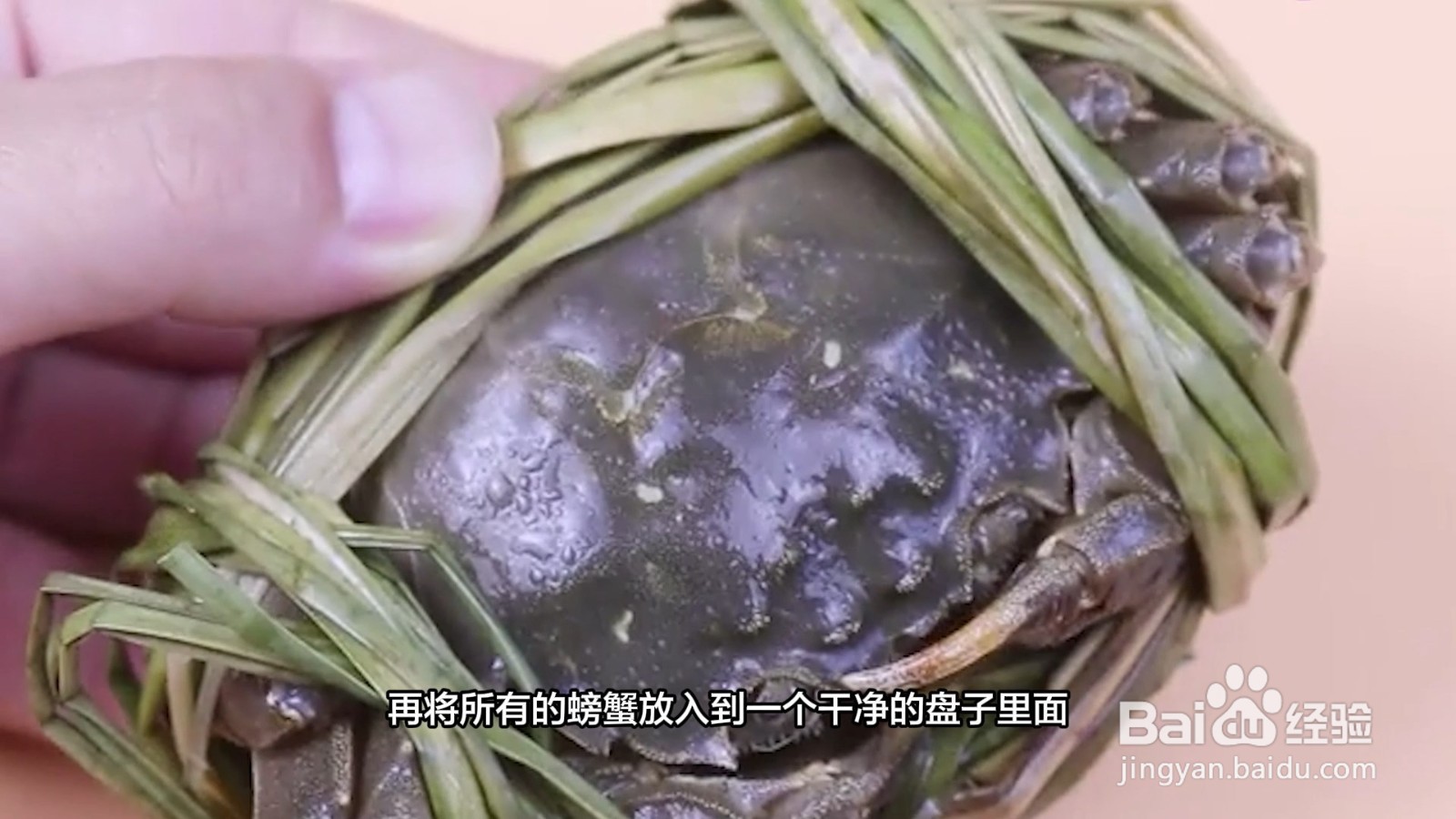 活的大闸蟹怎么保存