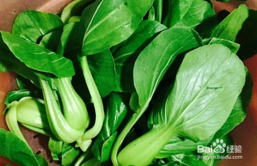 香菇青菜的做法