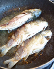 干烧鲫鱼怎么做