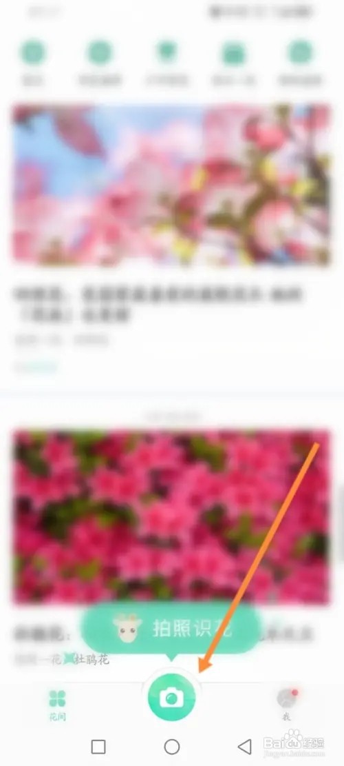 形色APP在哪里识别果蔬海鲜