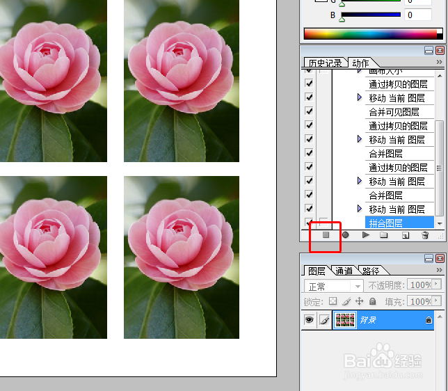 photoshop中如何对排版寸照设置动作