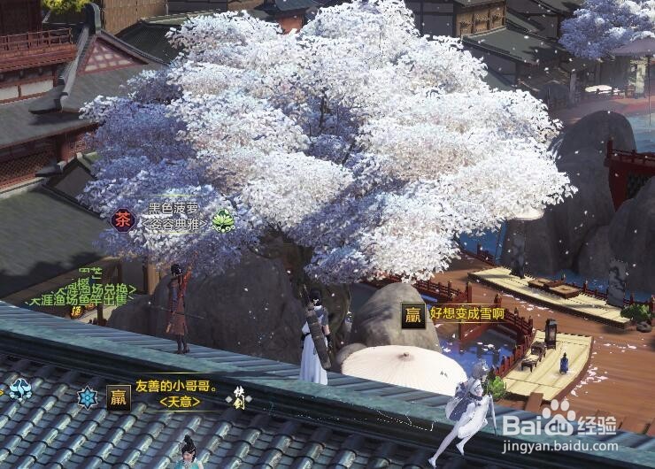 天涯明月刀怎么回门派