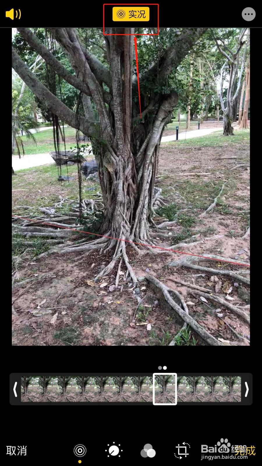 iphone实况照片怎么变成动图