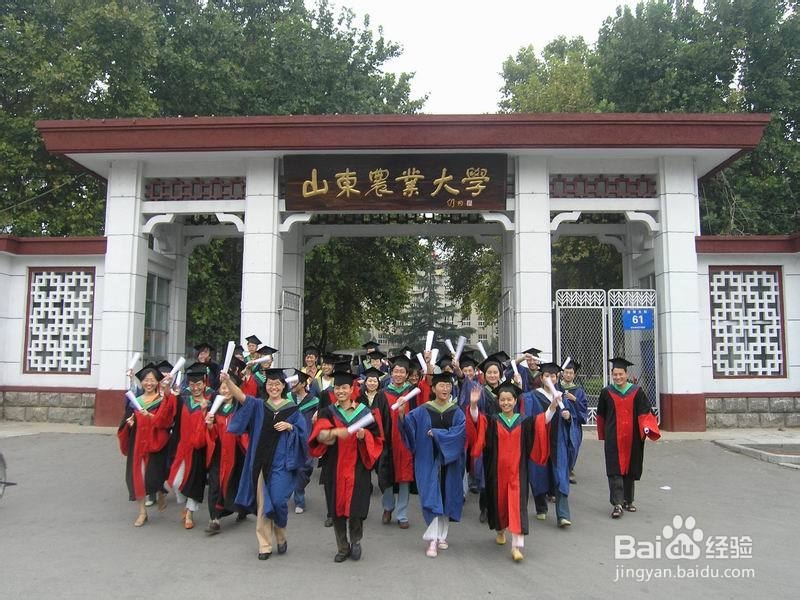 【山东农业大学】北校区（本部）详细介绍