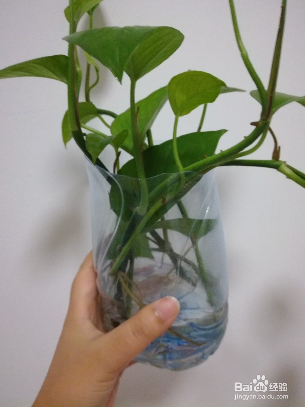 快递盒、矿泉水瓶的二次利用