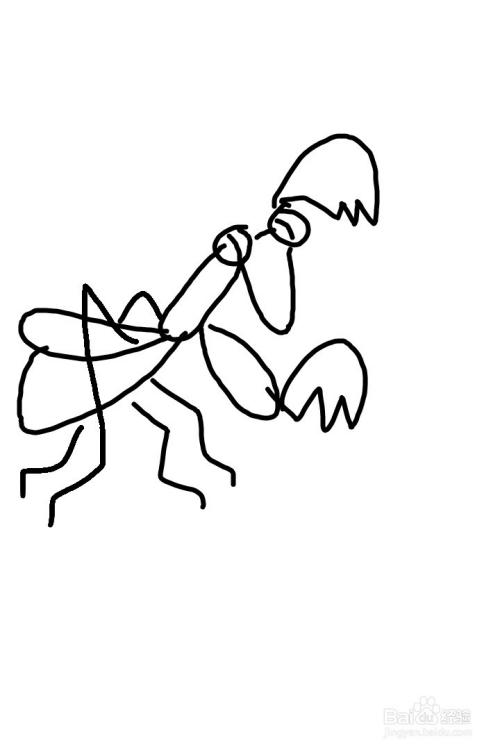 画螳螂的步骤
