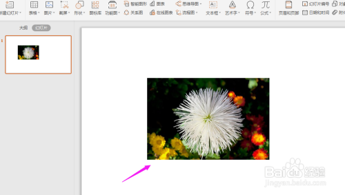 WPS2019中PPT如何给图片换形状?