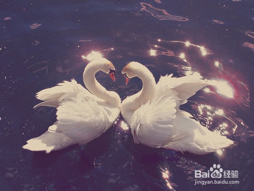 女孩找什么样的男人才能靠得住