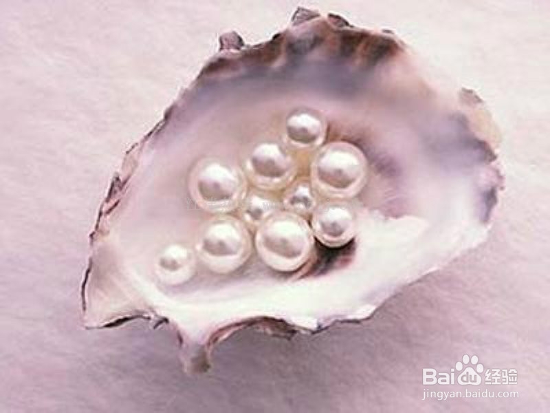 DIY面膜如何选取面膜粉