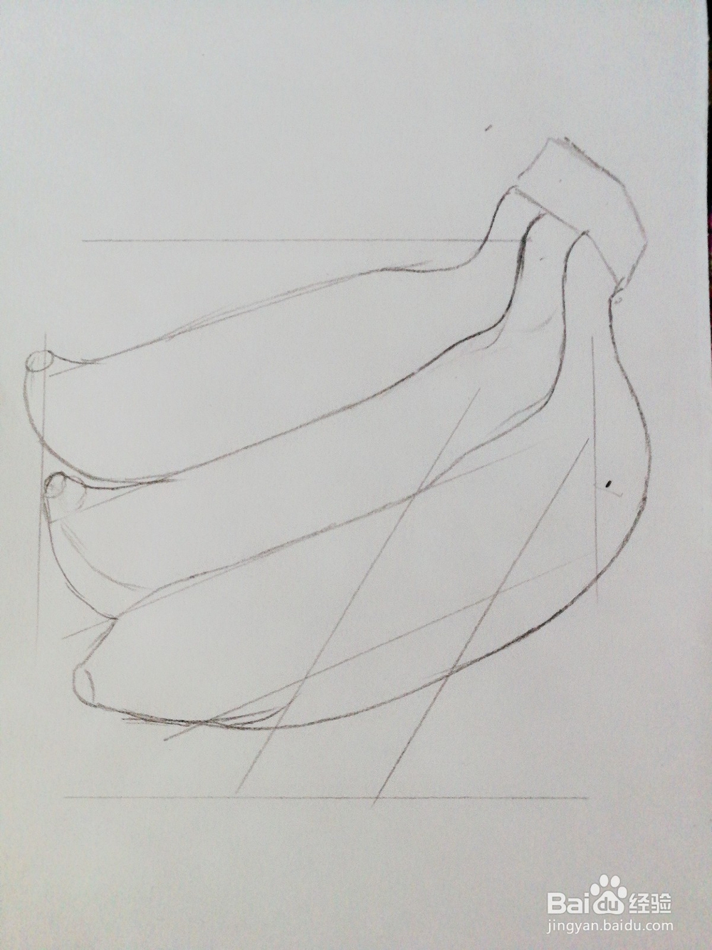 手绘四根香蕉卡通绘本插图