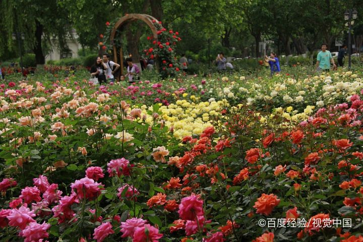 天津滨海有什么好玩的景点