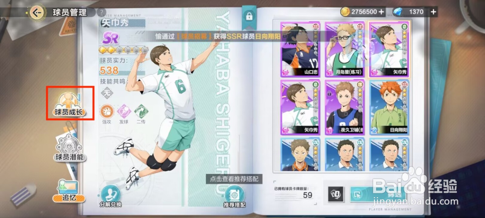 排球少年新的征程如何提升矢巾秀等级？