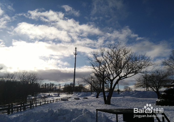 一条性价比爆棚的万元以下日本北海道观雪路线