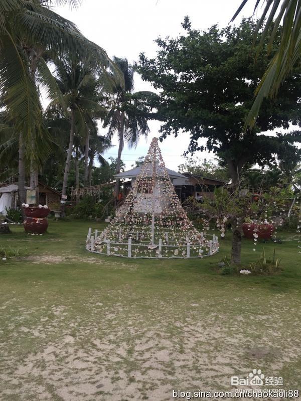 IELTS 2month in 宿雾SMEAG