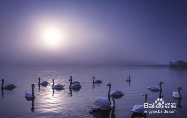 如何拍出优质短视频