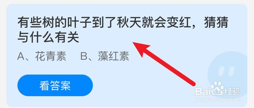 有些树的叶子到了秋天就会变红?蚂蚁庄园
