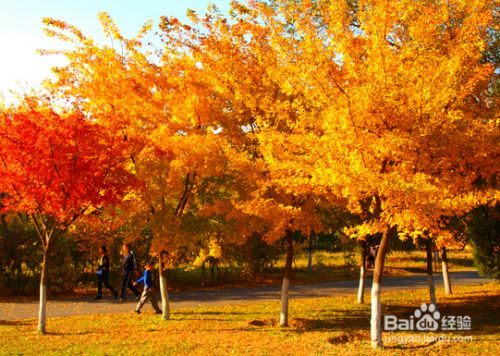 11月北京自由行旅游攻略 百度经验