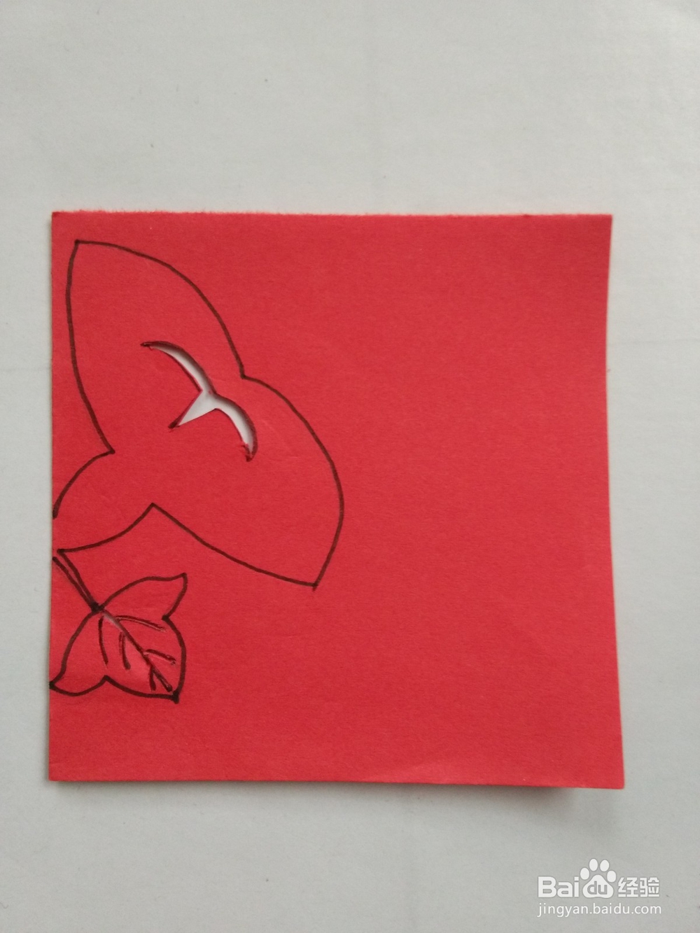 剪纸——怎么剪牵牛花2