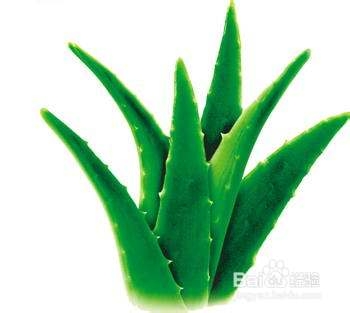 流鼻血不止怎么办农村经验