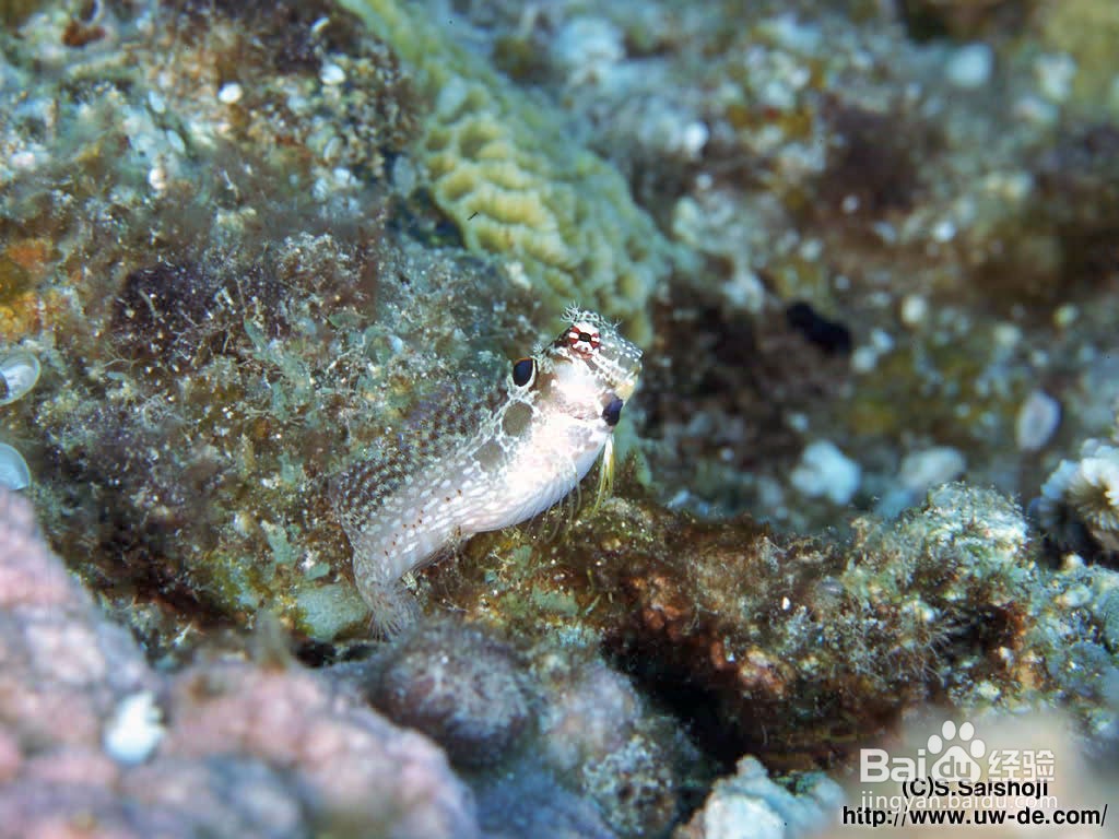 高三数学基础知识8道填空例题解析A5