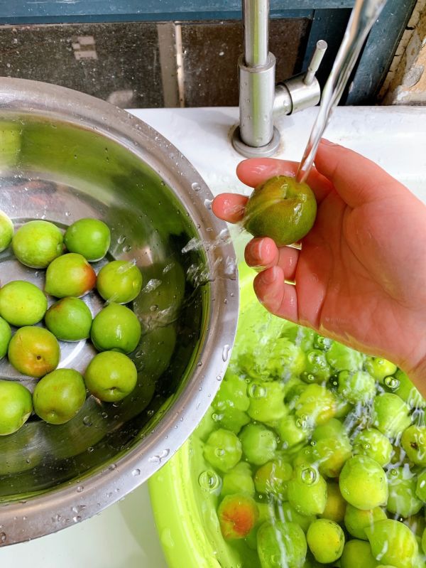 春日私酿-青梅酒