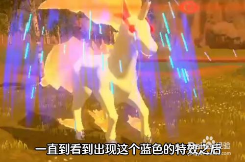 阿尔宙斯 头目怎么抓_4 阿尔宙斯 头目怎么抓