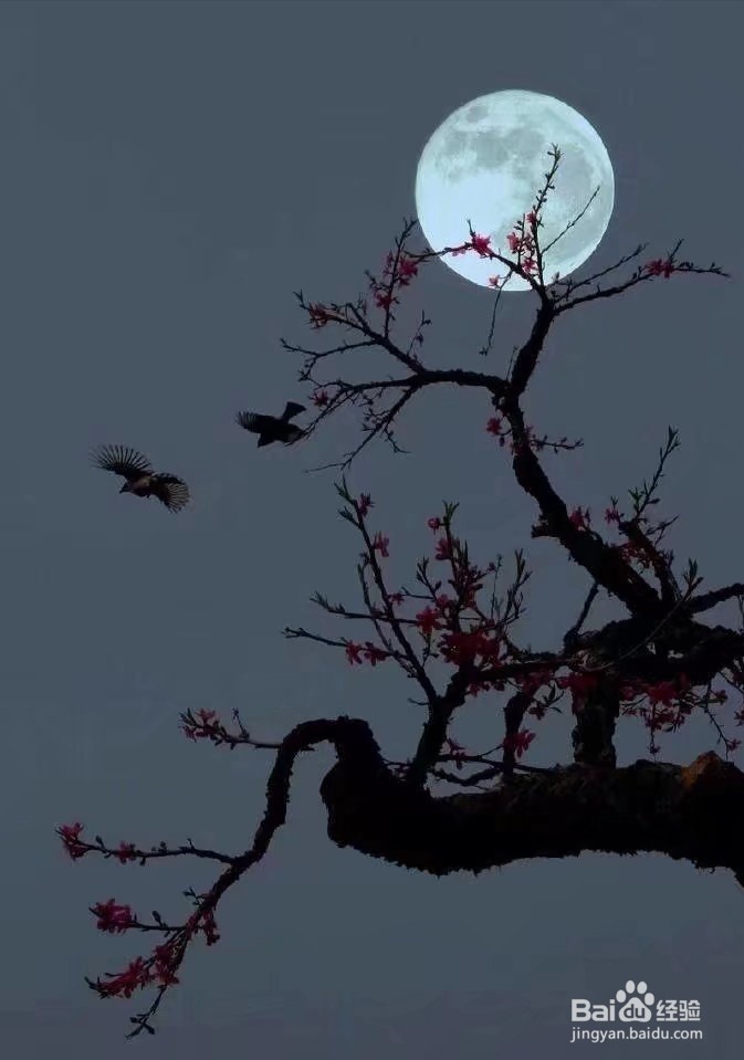 关于月亮的诗句