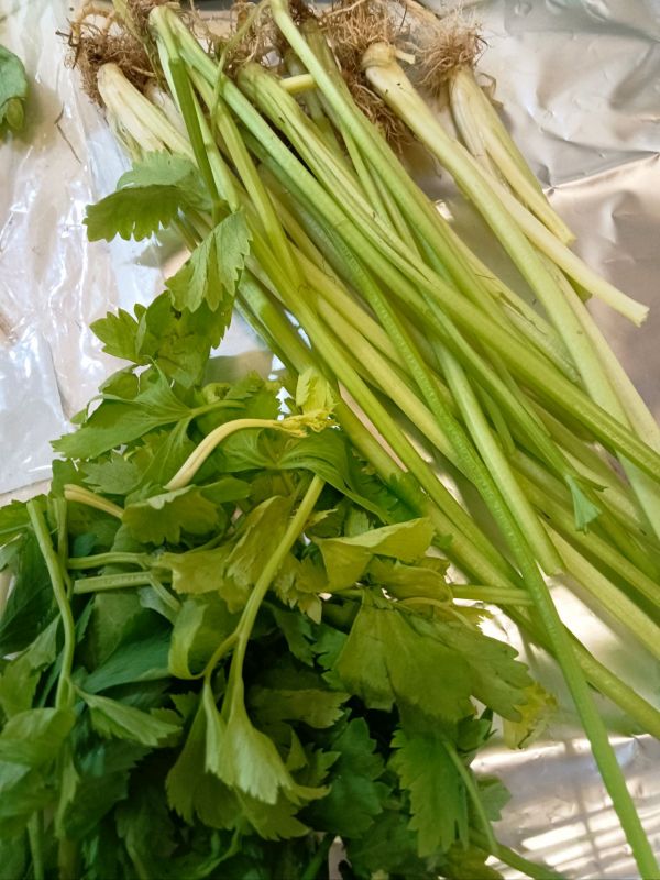 芹菜木耳小炒肉