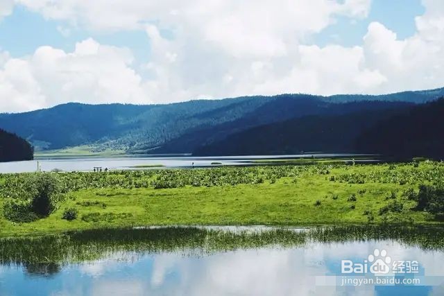 云南夏季旅游游玩攻略