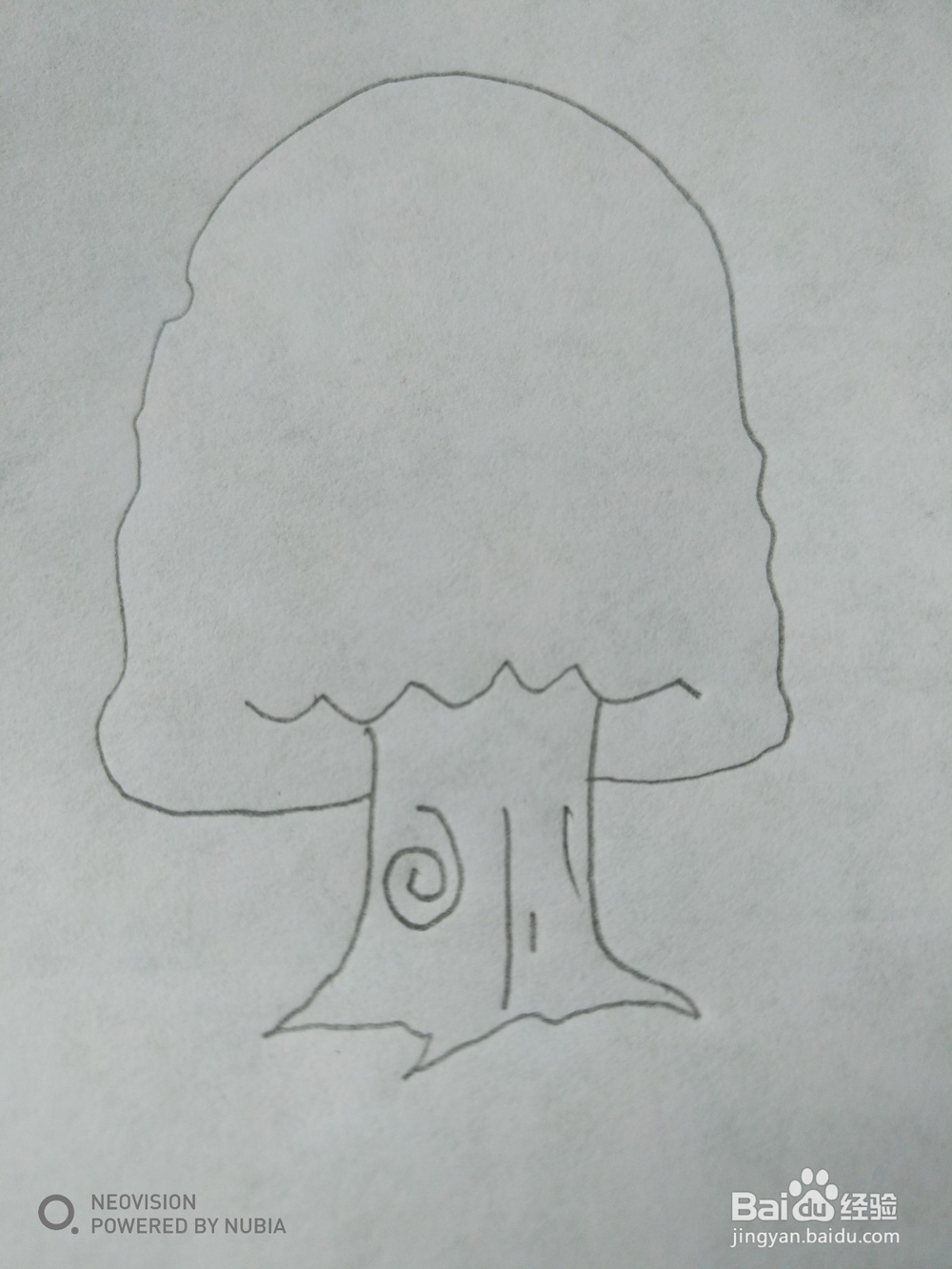 简单的大树怎么画（四）