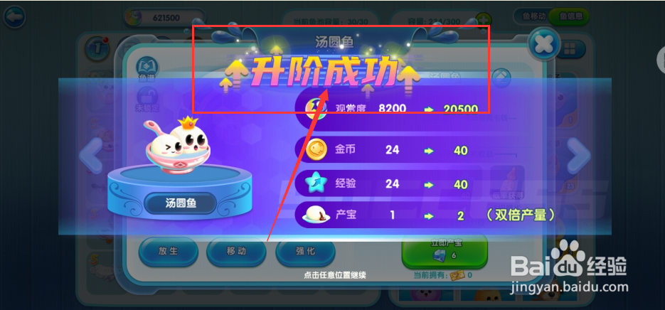 萌鱼泡泡手游如何将成年期汤圆鱼升阶到皇冠期