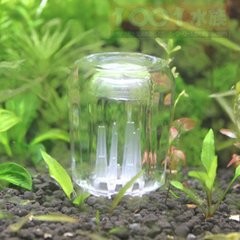 水草缸长了水蛭怎么办?