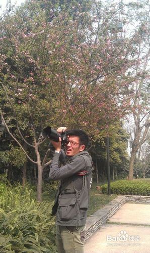 重庆去哪里看花拍婚纱照