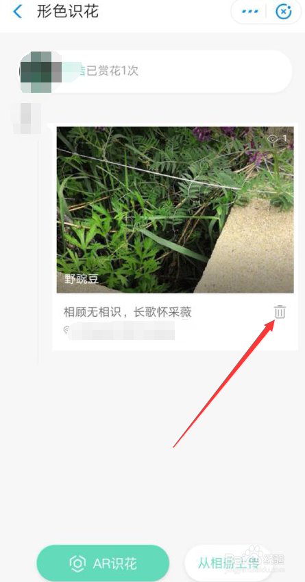 手机支付宝如何识别花朵AR识花怎么用