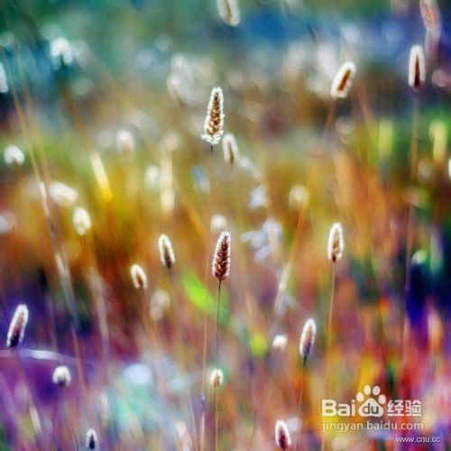 8条实用的旅游摄影技巧