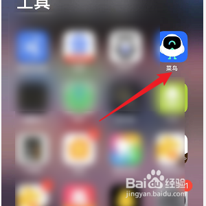 菜鸟裹裹怎么喂小鸟