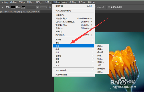 PS将图片进行旋转扭曲