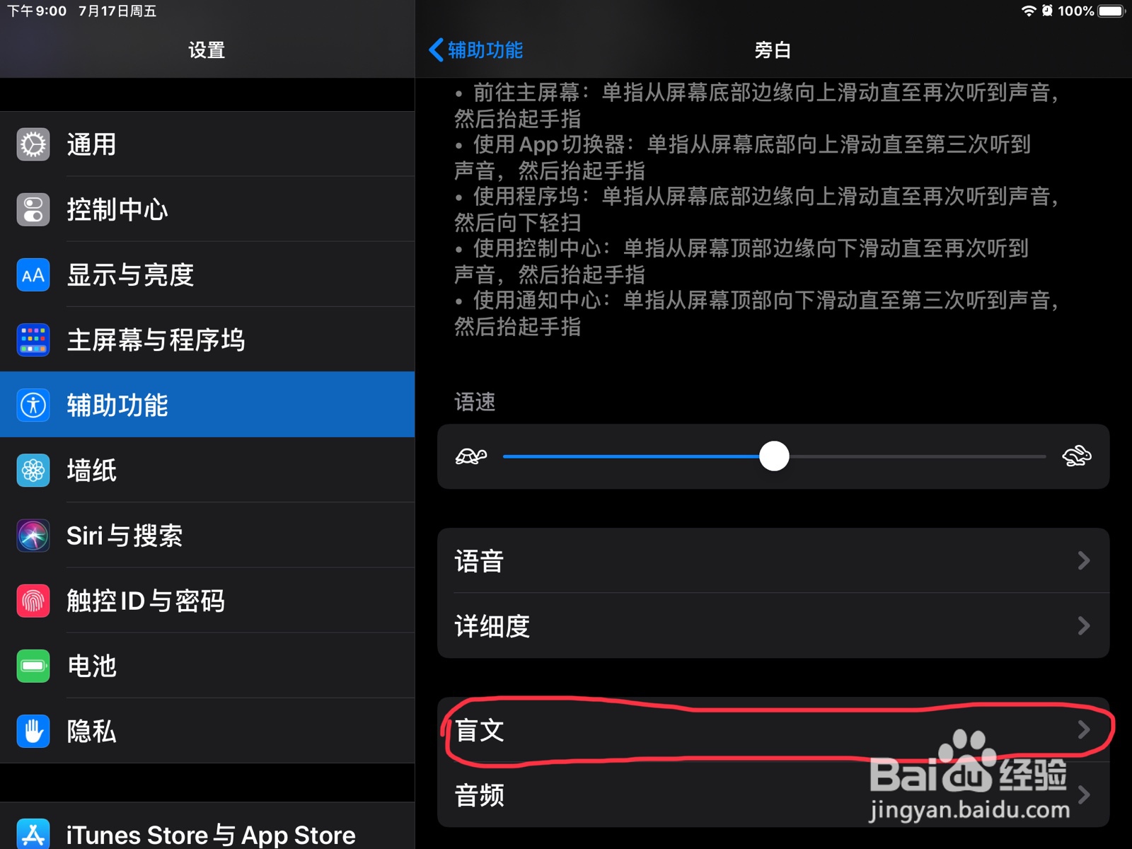 iPad怎么在旁白设置盲文的输出