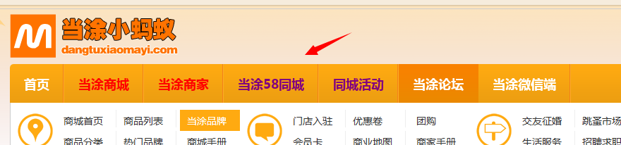 新一代地方门户使用全解：[1]功能全展示