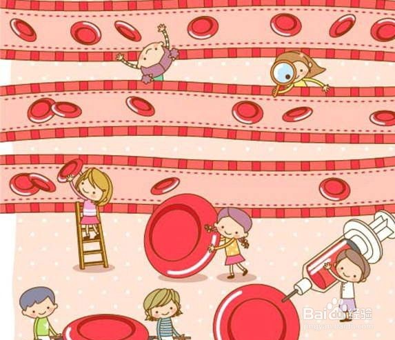 血液具有什么作用