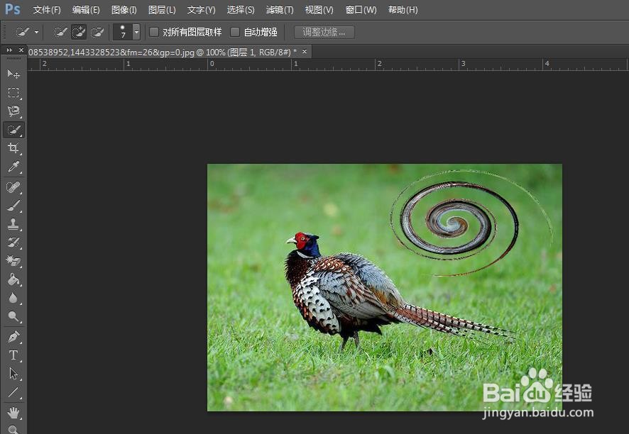 PS的旋转扭曲效果