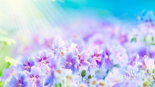 怎样制作一个简单的装瓜子、花生壳的袋子?