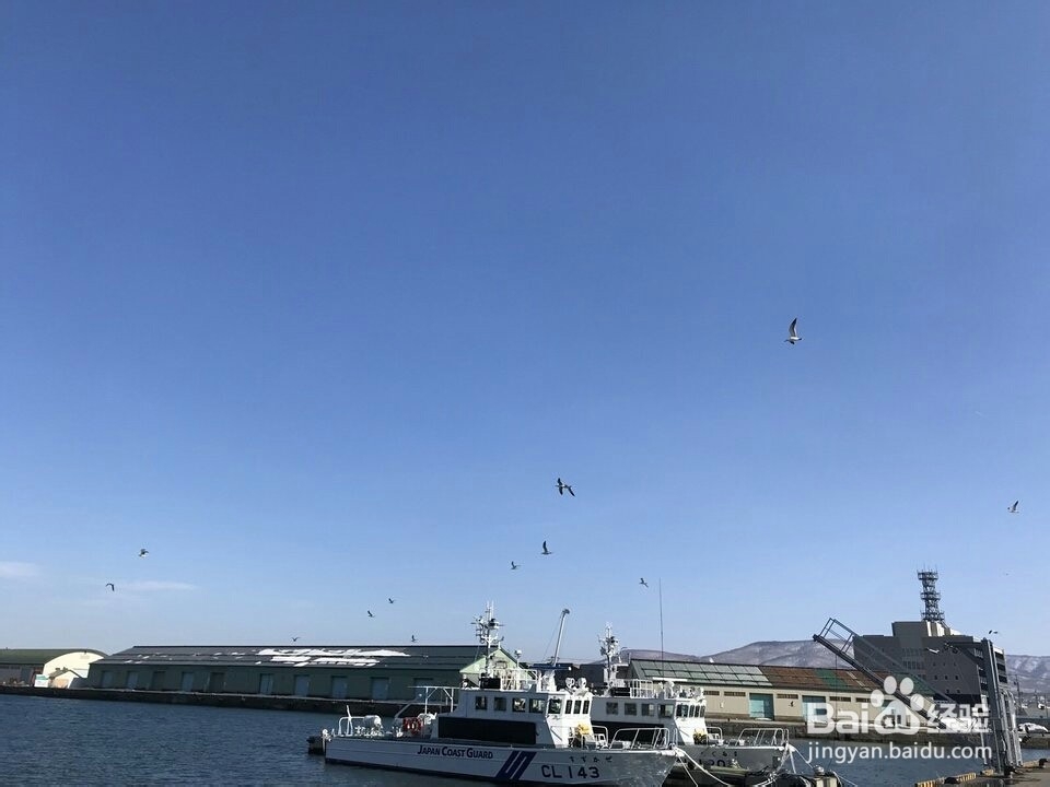 小樽市的旅游指南