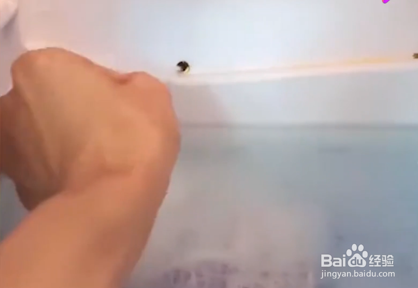 怎么解决冰箱结冰的问题？