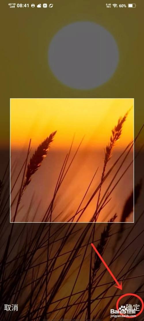 qq音乐自定义主页背景怎么设置