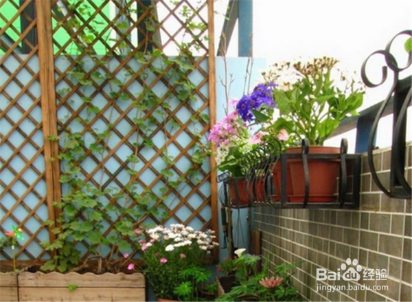 怎么让阳台充满绿意